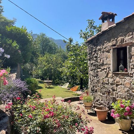 Adorable Gite - Le Figuier La Bollène-Vésubie Exterior foto